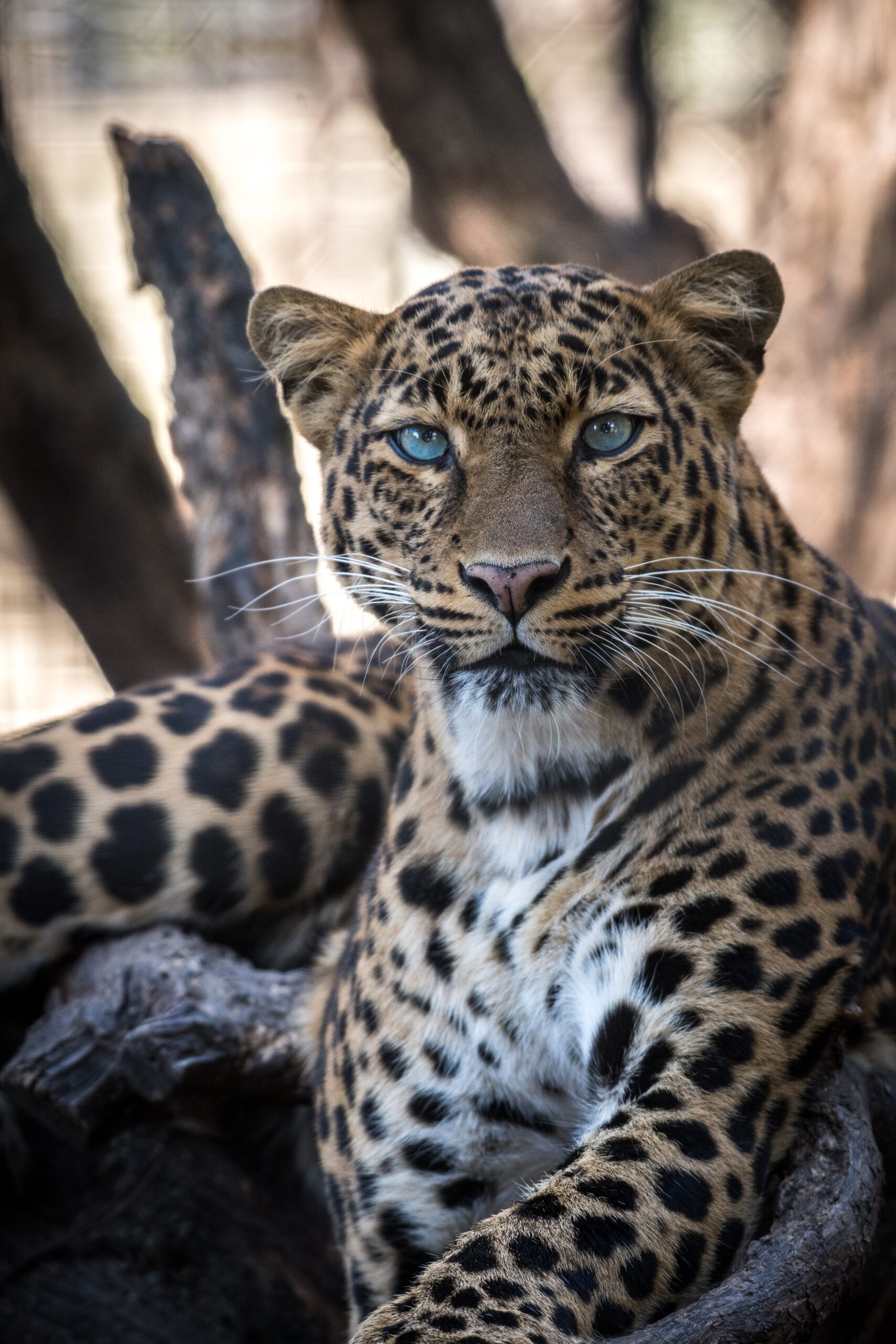 Parque Nacional del Jaguar