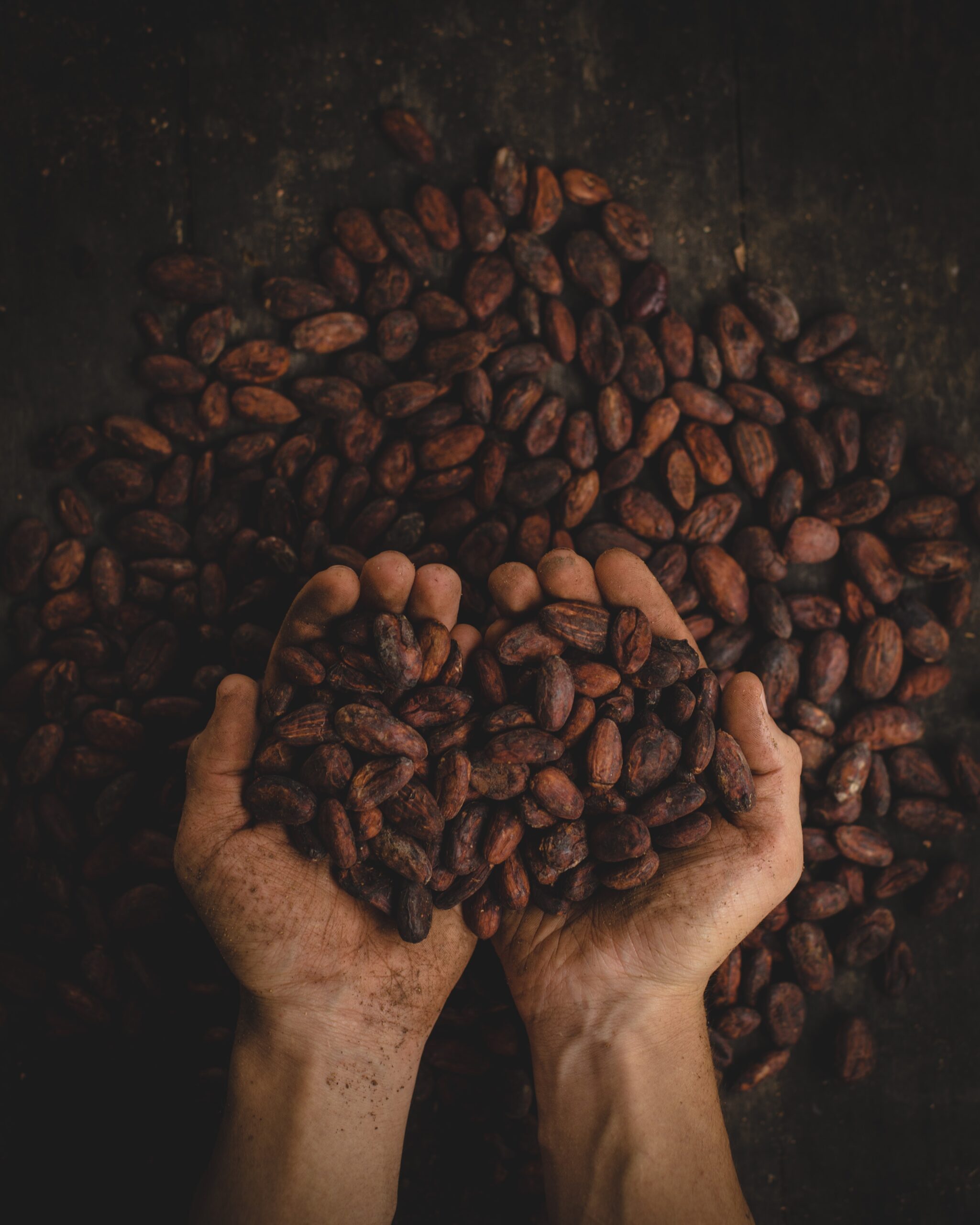 Ceremonia de Cacao en Tulum
