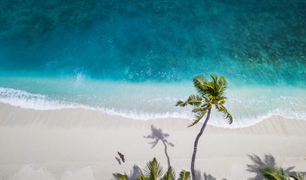 Alta demanda en Tulum