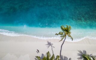 Alta demanda en Tulum