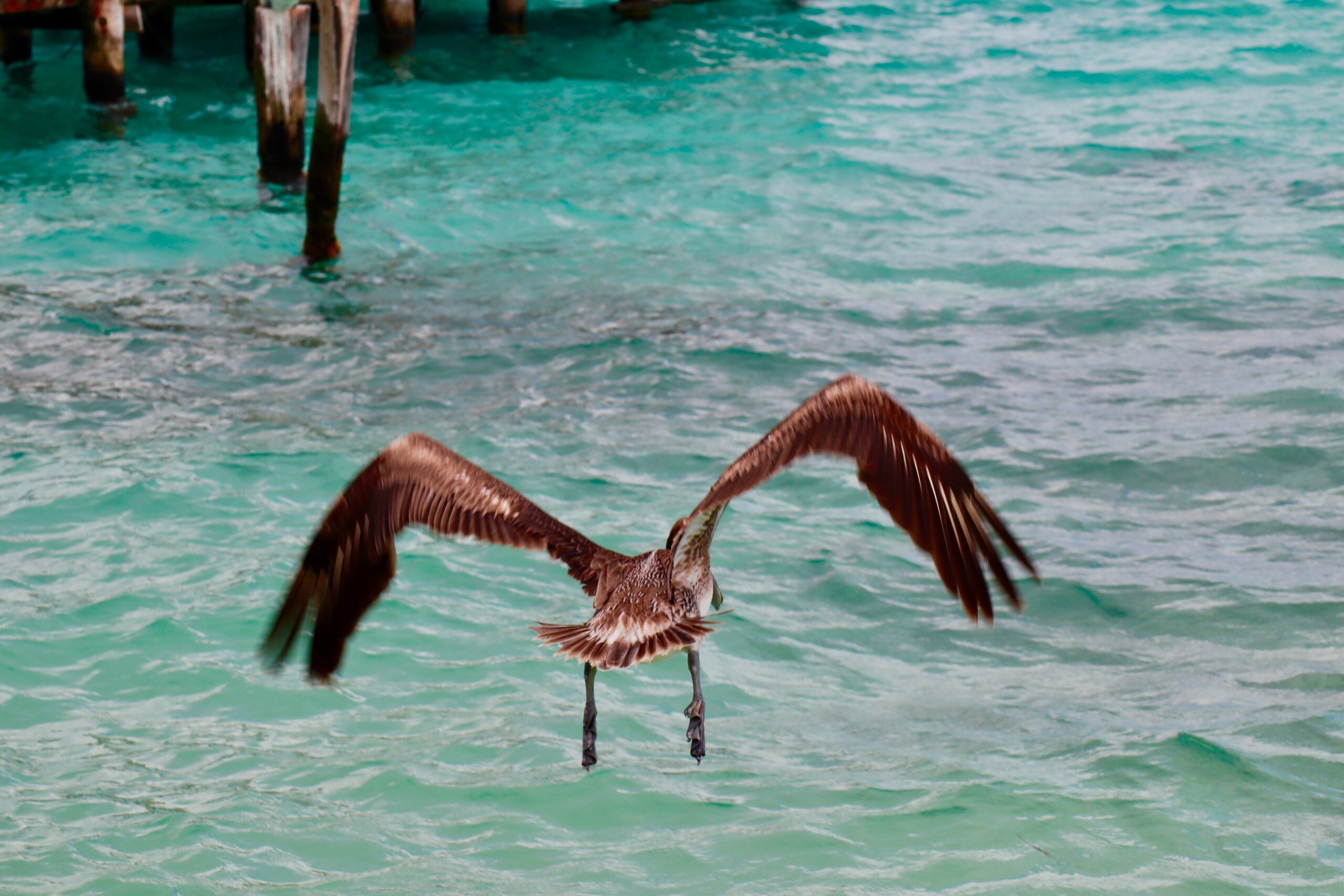 Puerto Morelos