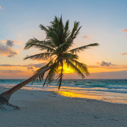 Riviera maya en la Trump Era