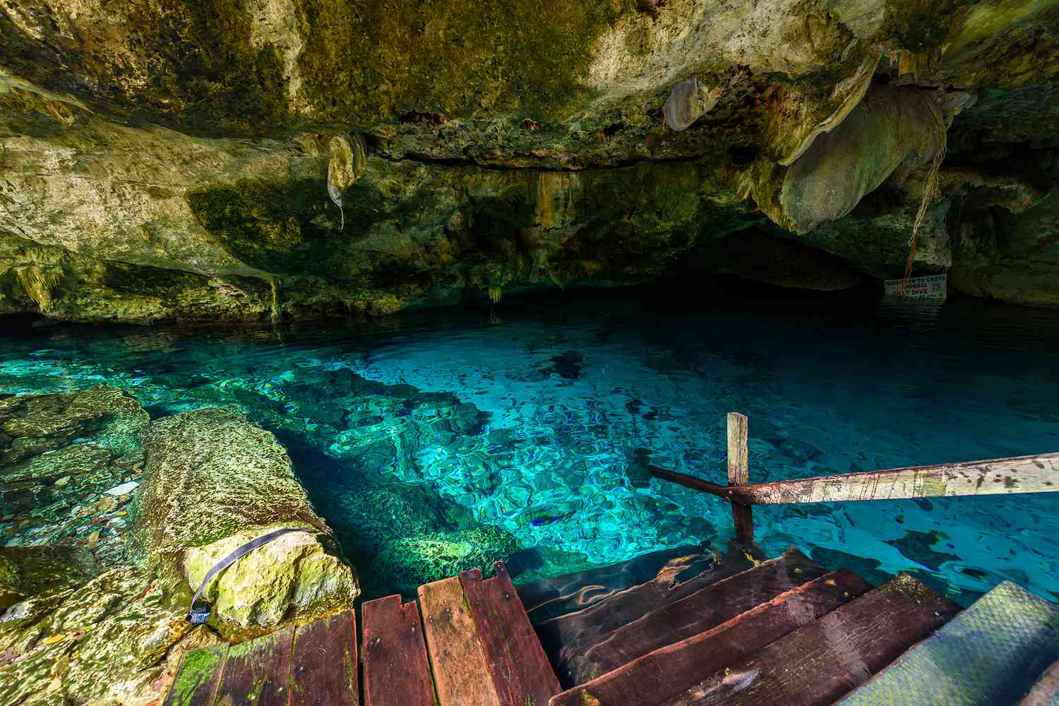 naturaleza